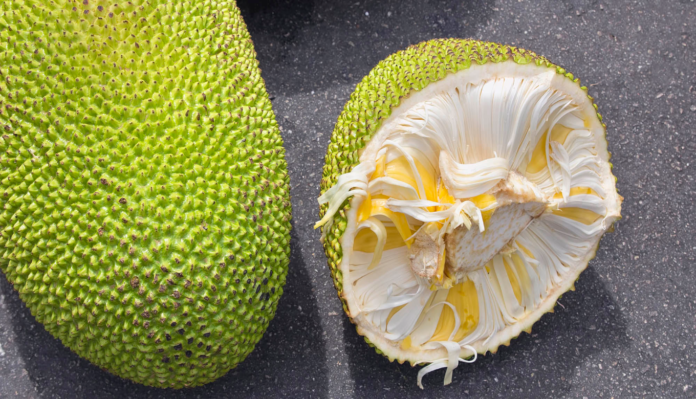 jackfruit health benefits