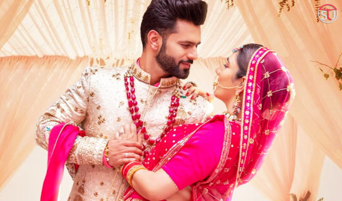 Insights From Dishul's Wedding: Rahul Vaidya And Disha Parmar Begin New Journey