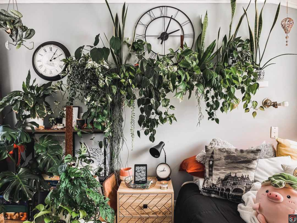summer home decor using plants
